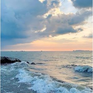 Meet your Posher, Alison